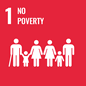 1.No Poverty 1.No Poverty