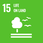 15.Life On Land 15.Life On Land